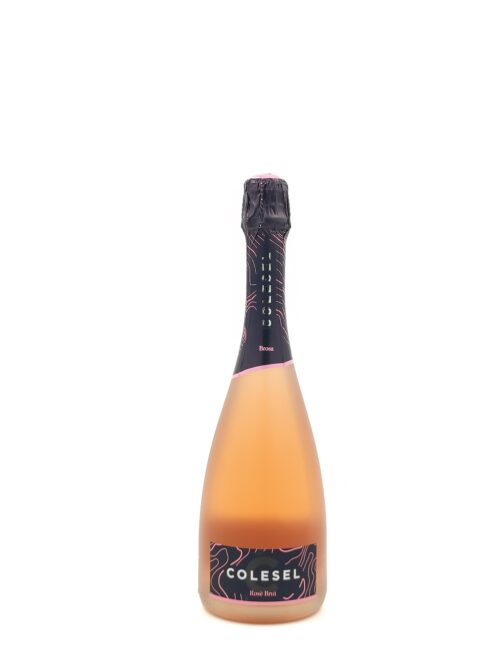 SPUMANTE ROSE' BRUT BROSA - COLESEL CL. 75